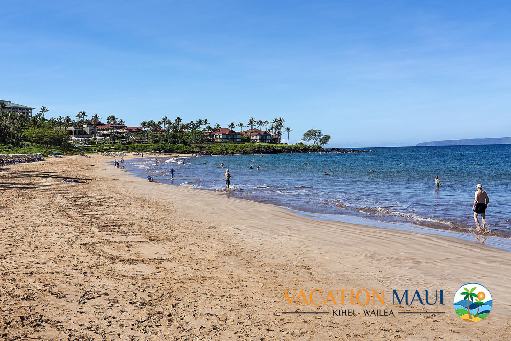 Maui 33