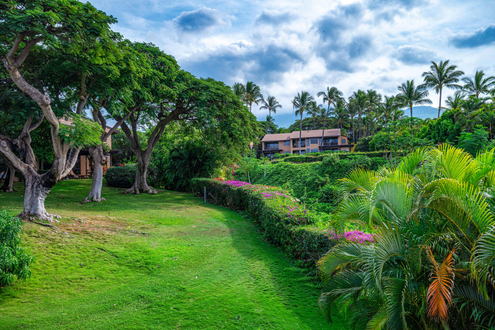 Maui 33