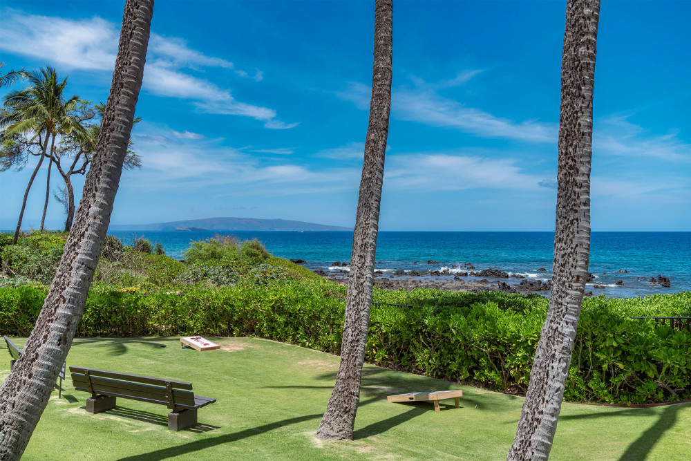 Maui 33