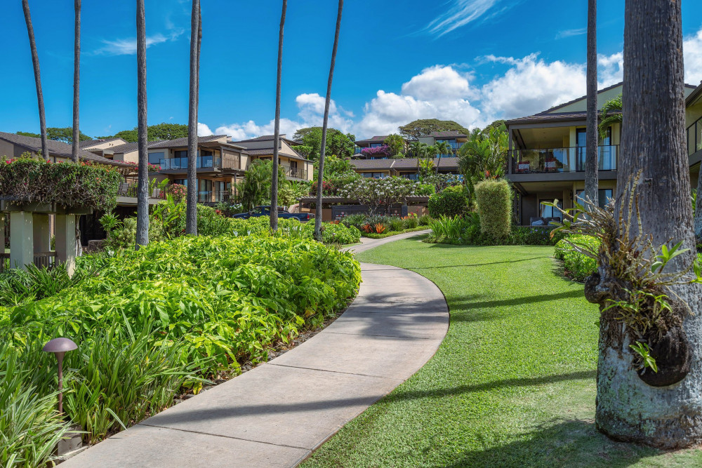 Maui 135