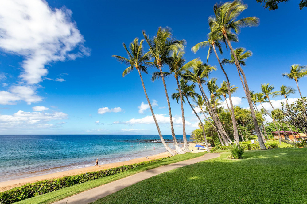 Maui 135