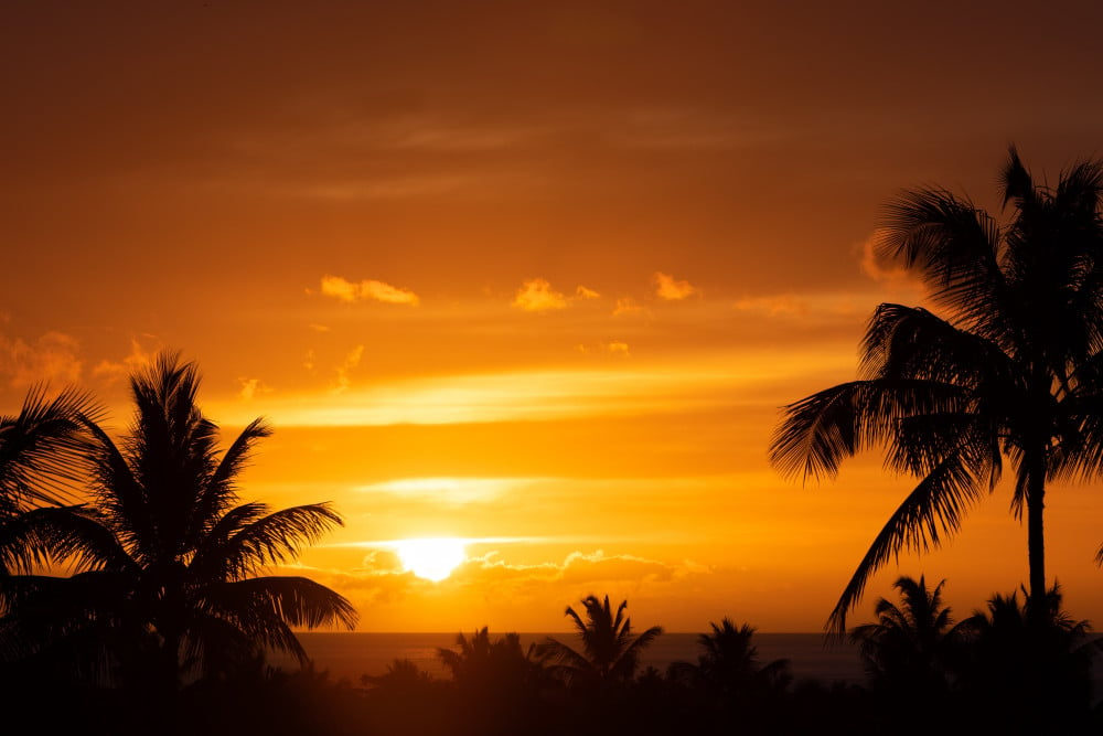 Four Seasons Hualalai 8