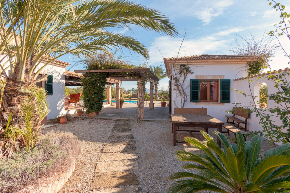 Pollensa 50
