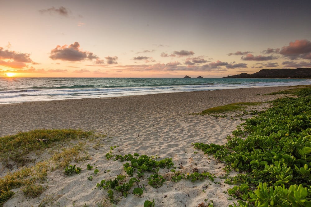 Kailua 17