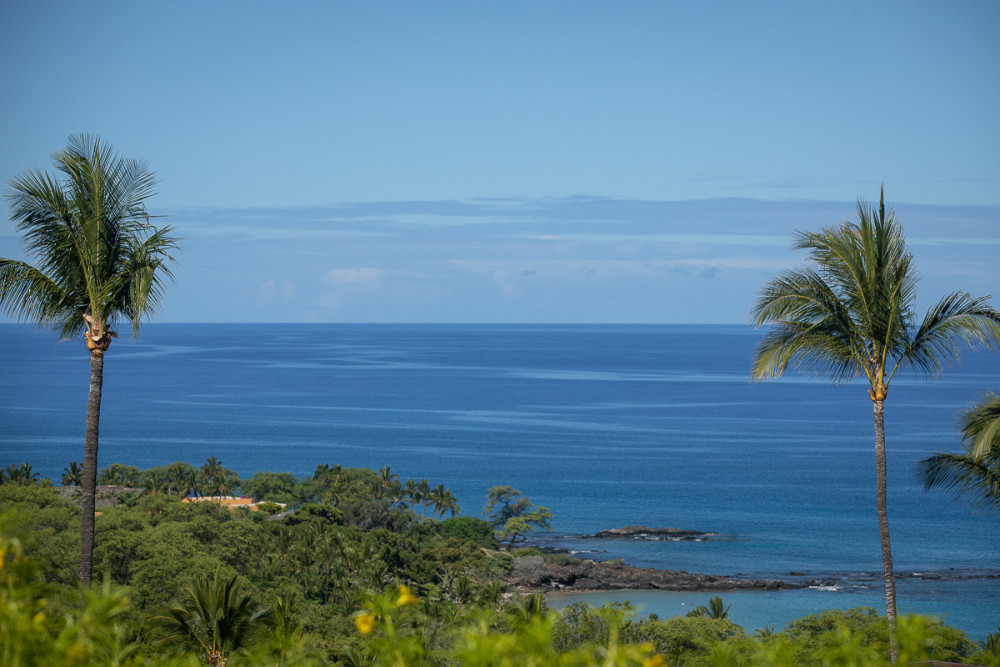 Kamuela 23