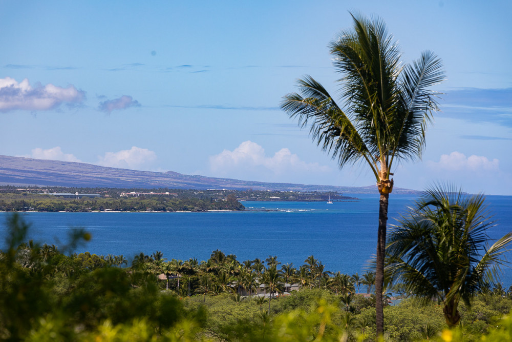 Kamuela 23