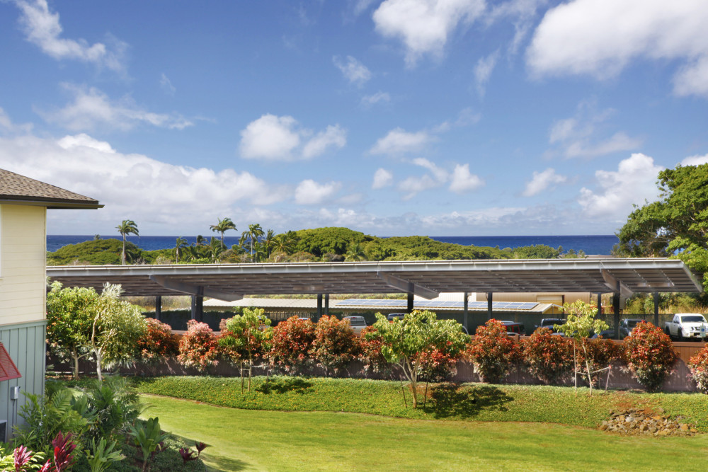 Koloa 20