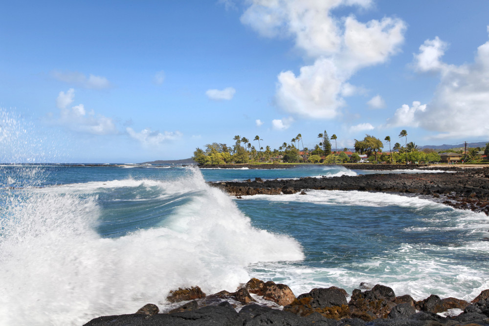Koloa 20