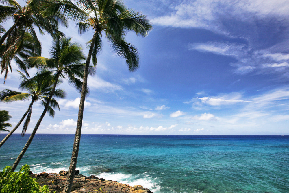 Koloa 20