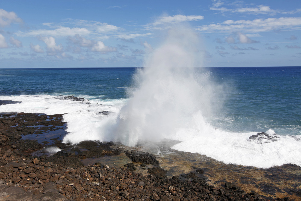 Koloa 20