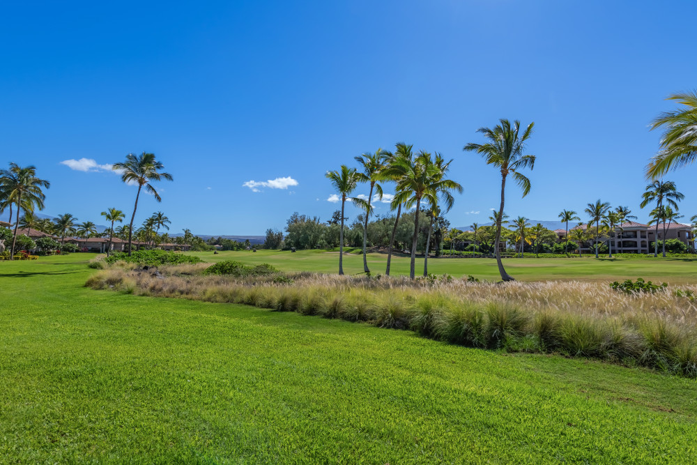 Waikoloa 3