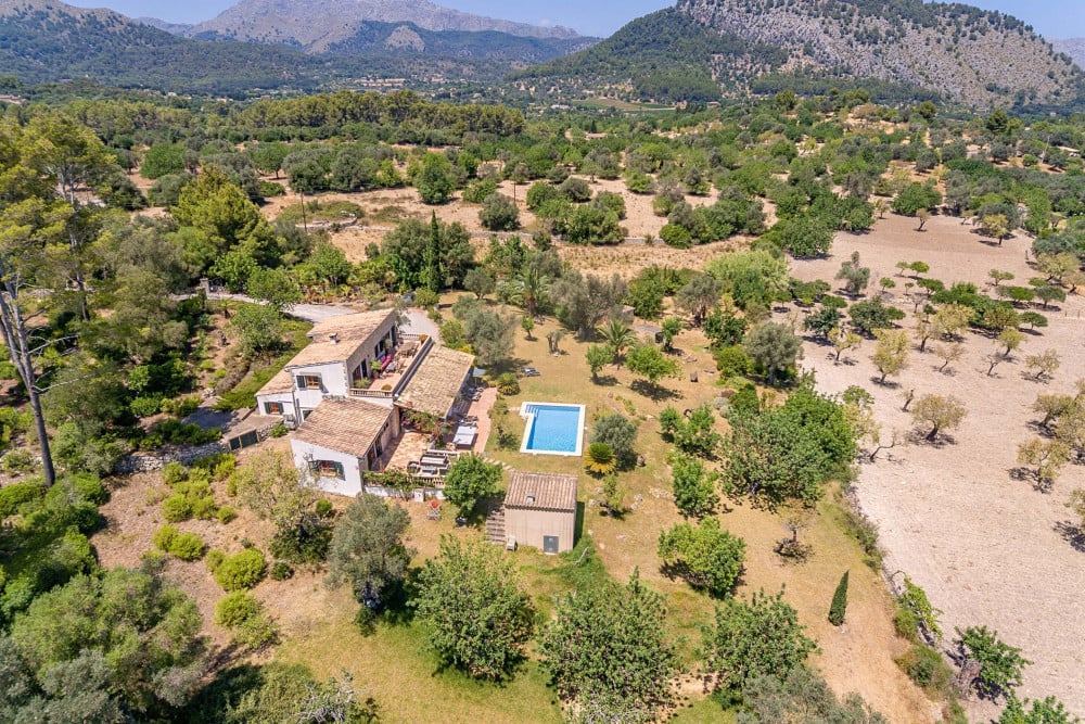 Pollensa 44