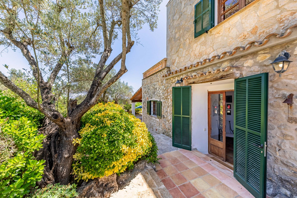 Pollensa 44