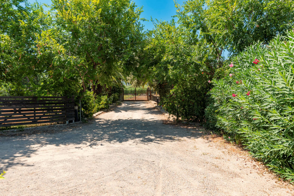 Pollensa 43