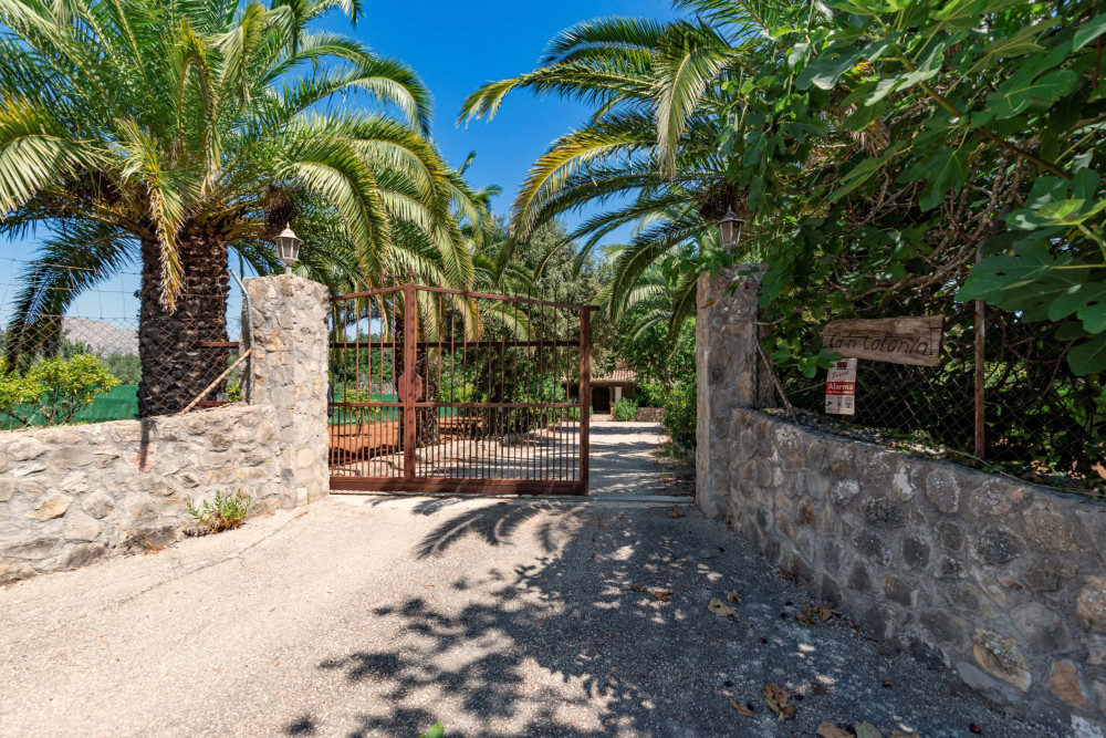 Pollensa 43