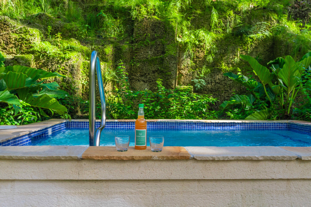 Sandy Lane - Parnassus Cottage