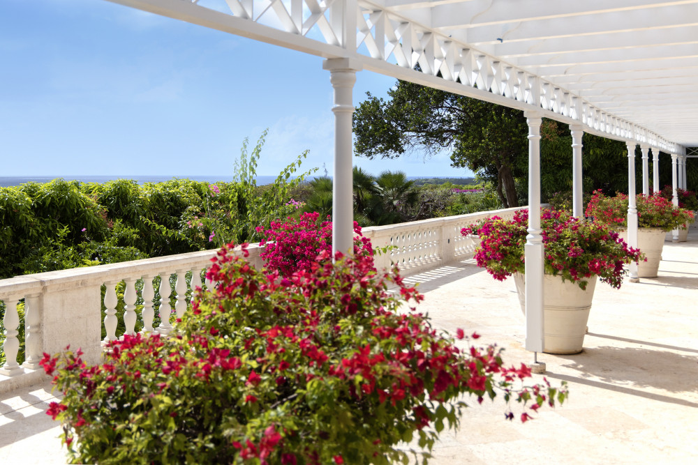 Sandy Lane - Half Moon