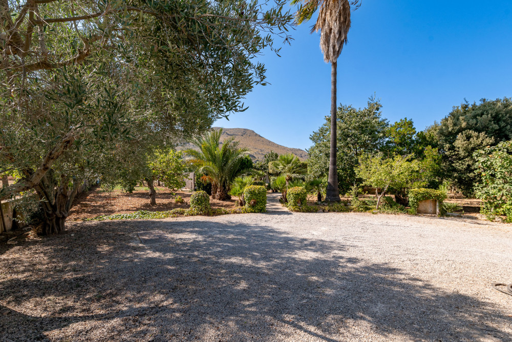 Puerto Pollensa 9