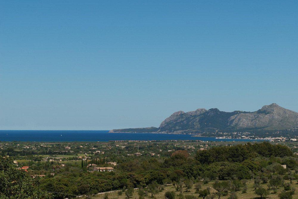 Pollensa 37