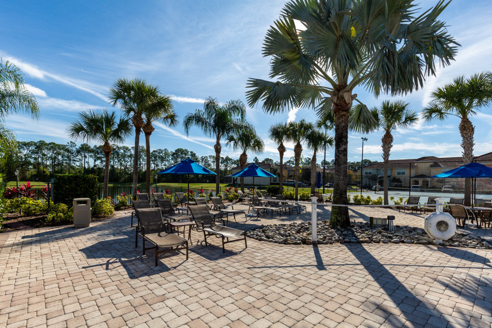 Paradise Palms Resort 331