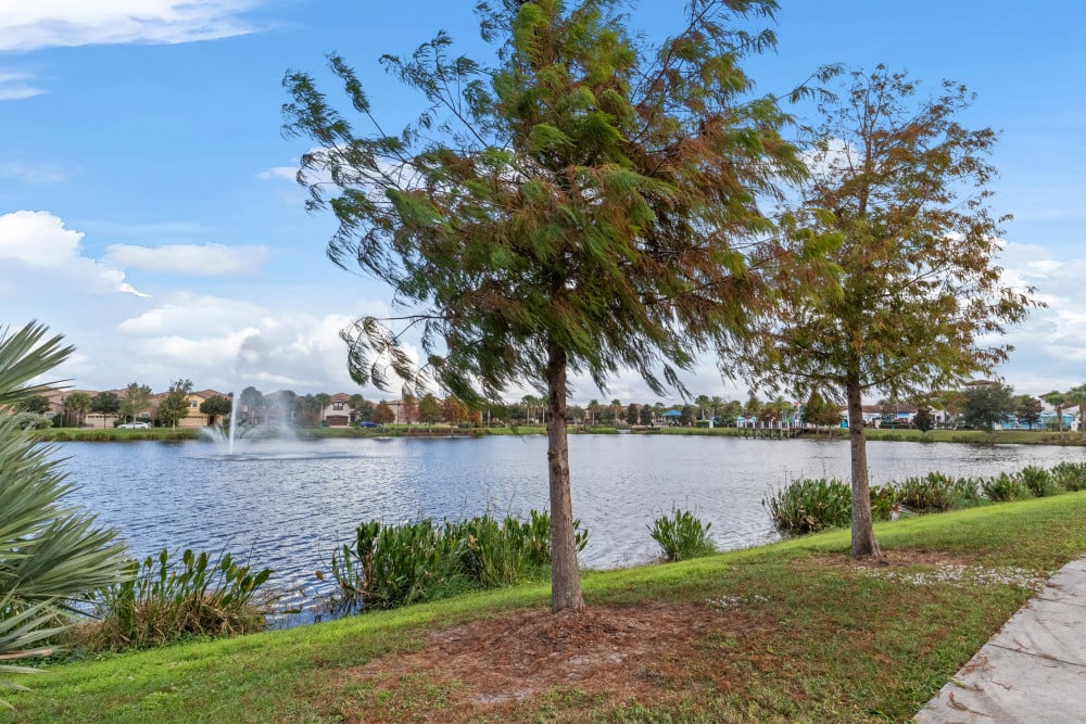 Windsor at Westside 1223