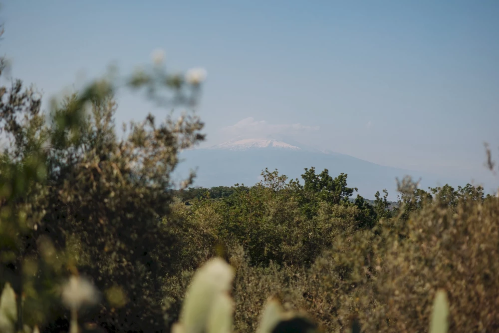 Villa Sumac