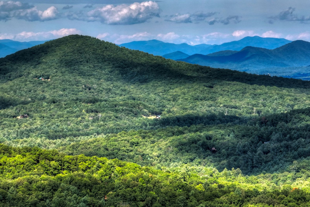 Blue Ridge 60