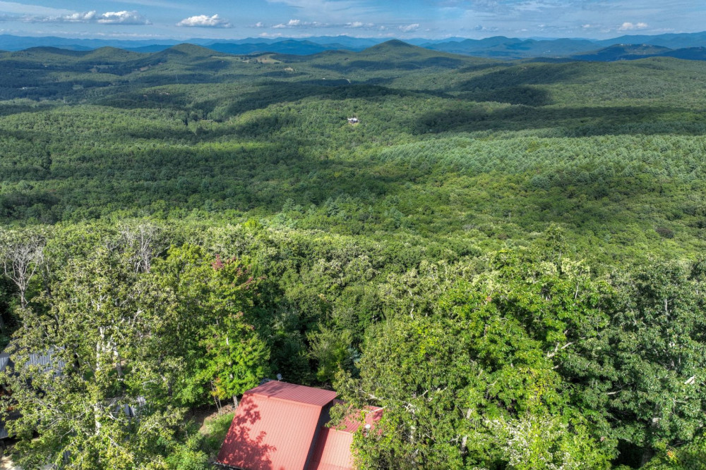 Blue Ridge 60