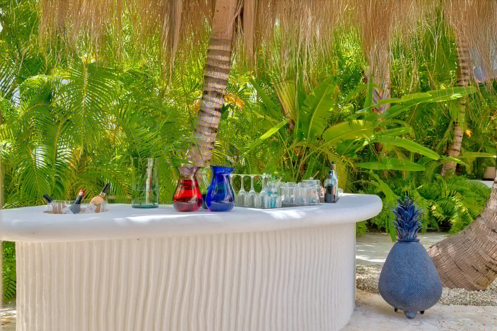 Punta Cana Resort & Club 80