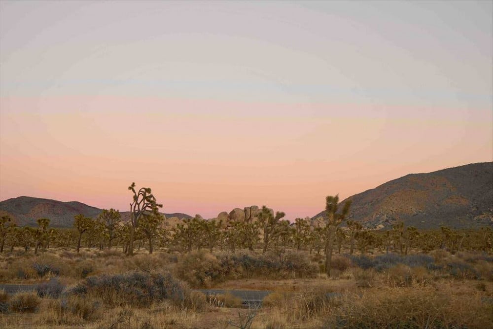 Yucca Valley 7