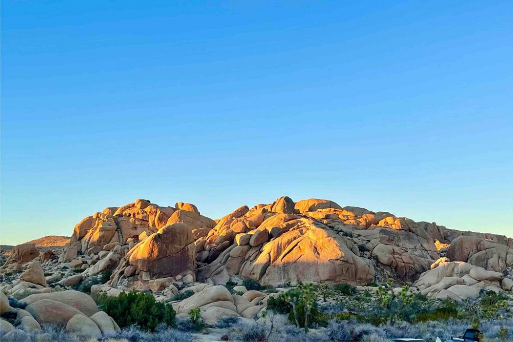 Yucca Valley 7