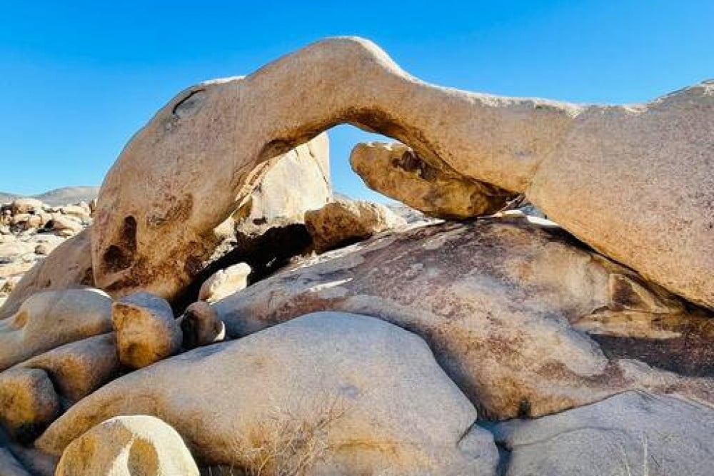 Yucca Valley 7