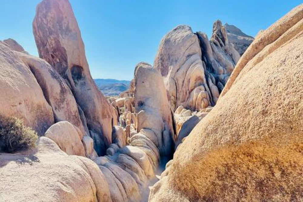 Yucca Valley 7