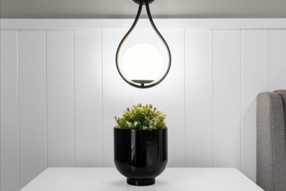 Windsor Island Resort 334