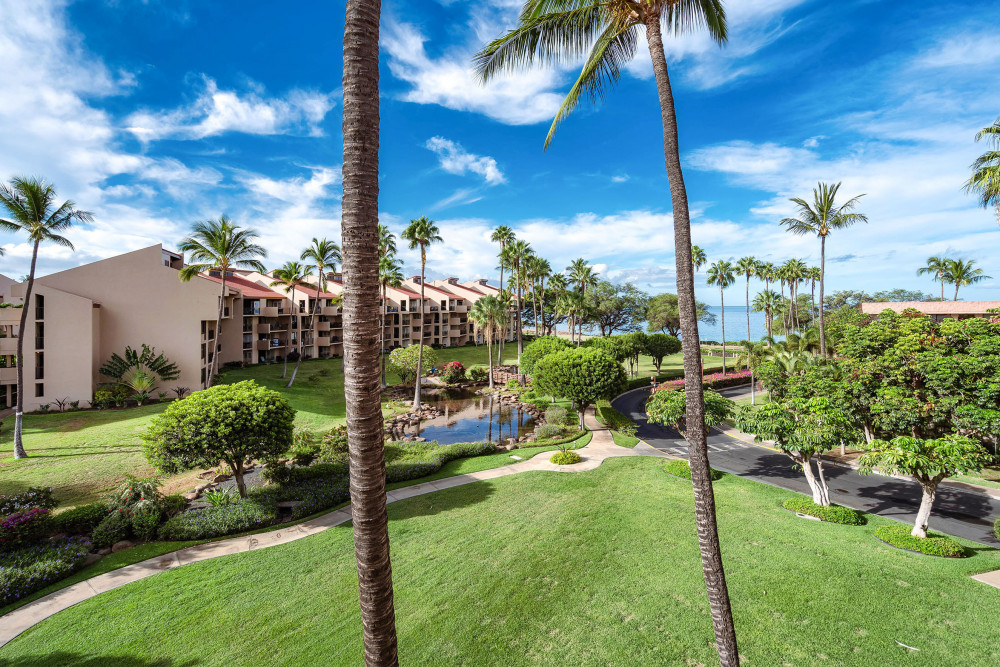 Maui 46