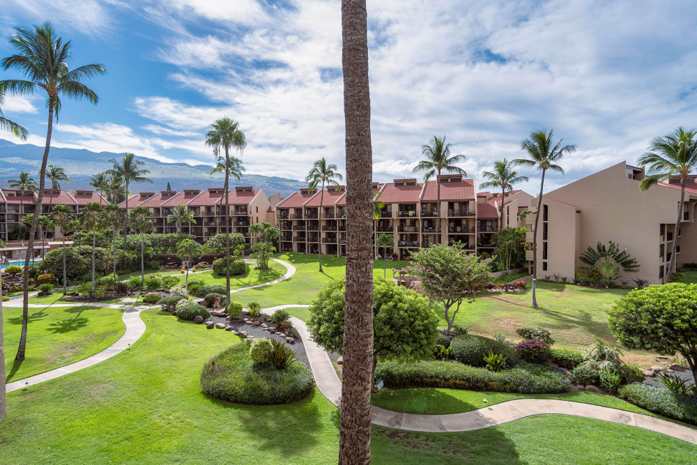 Maui 46