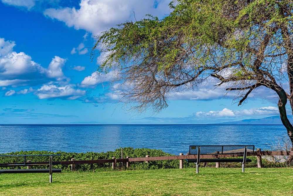 Maui 46