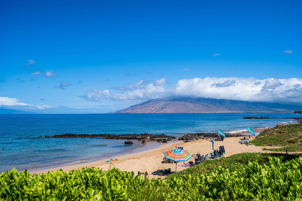 Maui 46