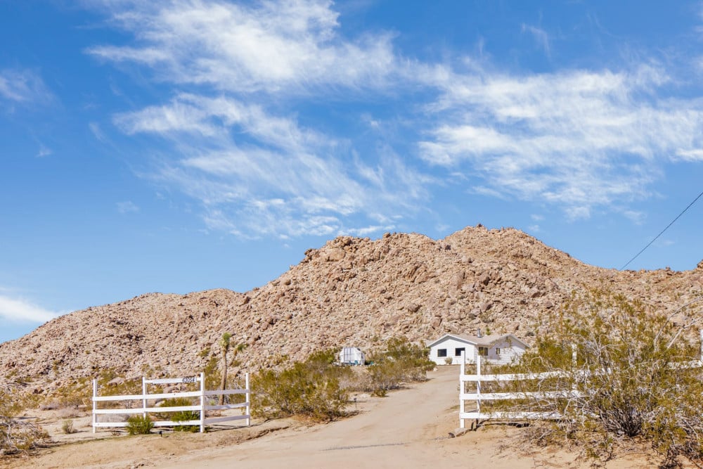 Joshua Tree 37