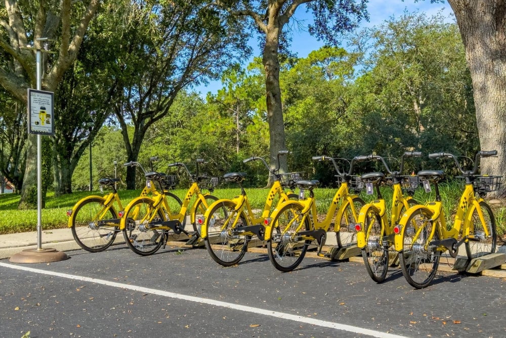 Emerald Island Resort 153