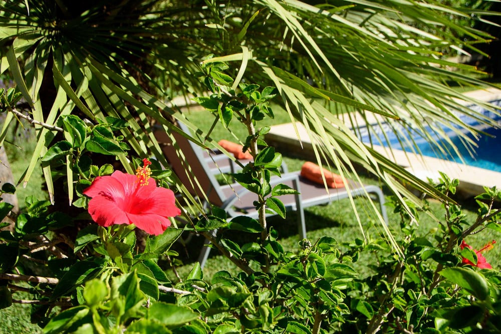 Puerto Pollensa 1