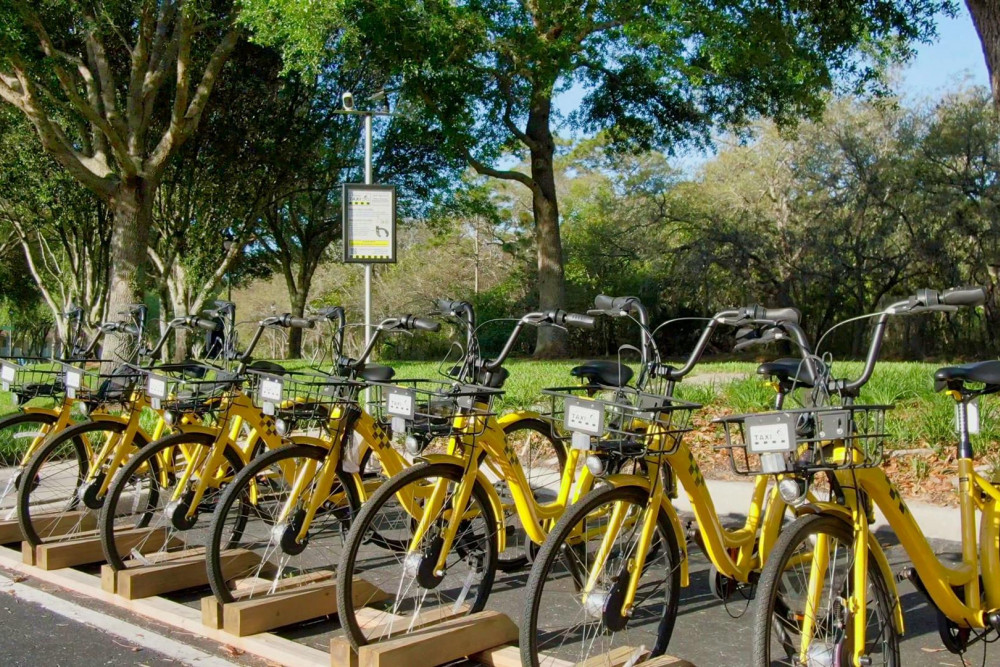 Emerald Island Resort 157