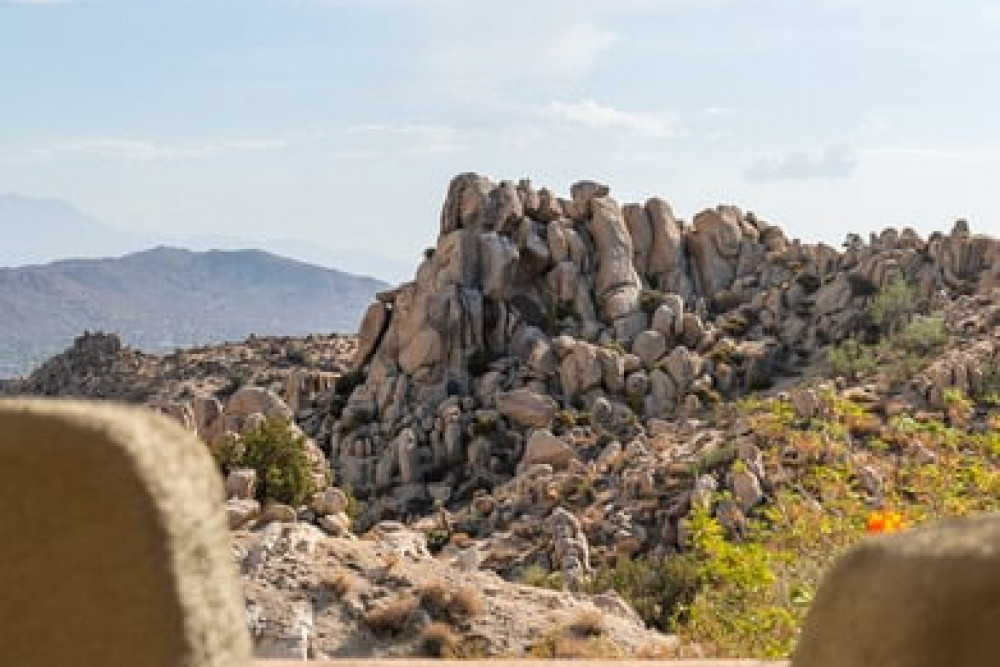 Yucca Valley 19