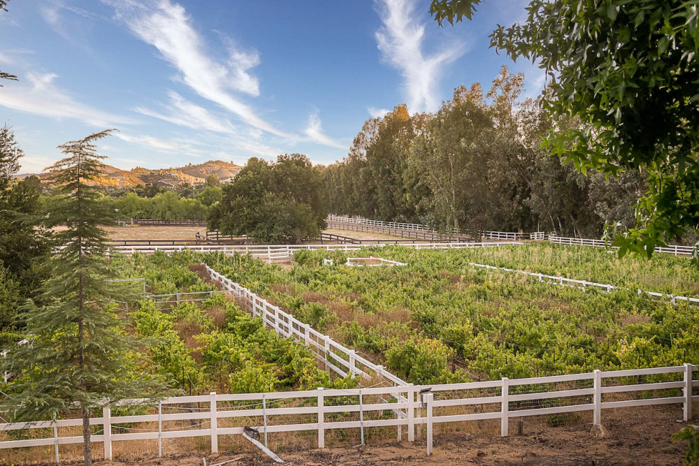 Temecula 36