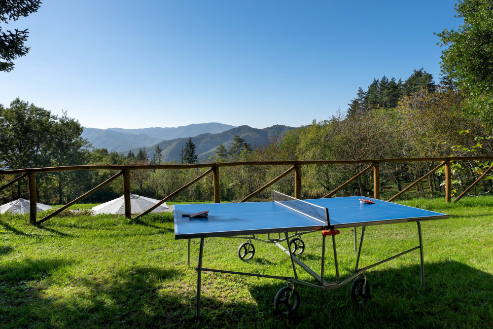 Villa La Rassinata 8