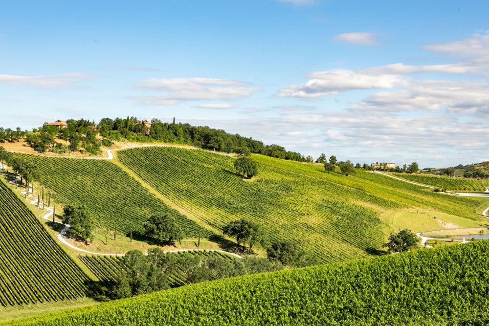 Santa Maria Maddalena 10