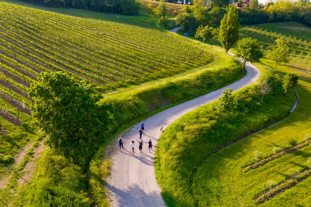 Santa Maria Maddalena 10