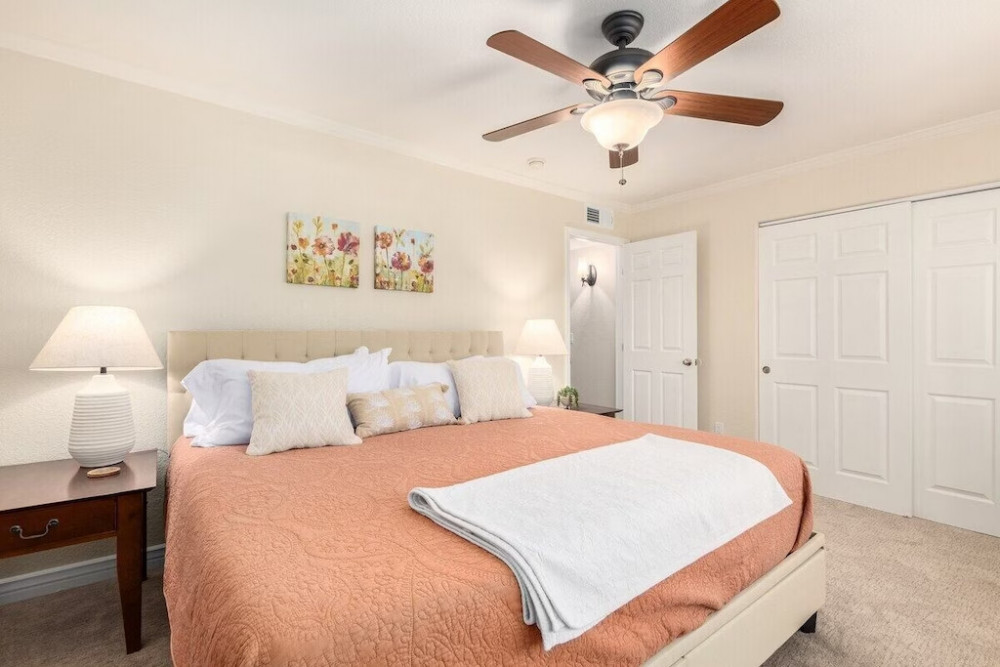 Scottsdale 376