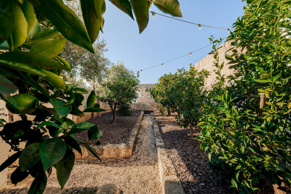 Opuntia Trulli e Lamie 10