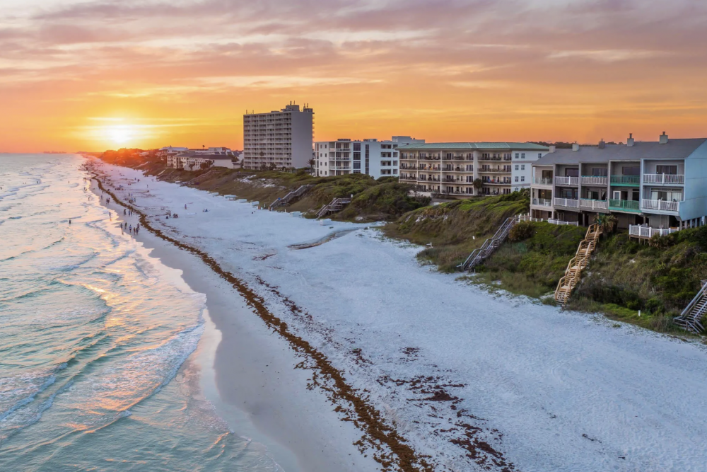 Seagrove 8